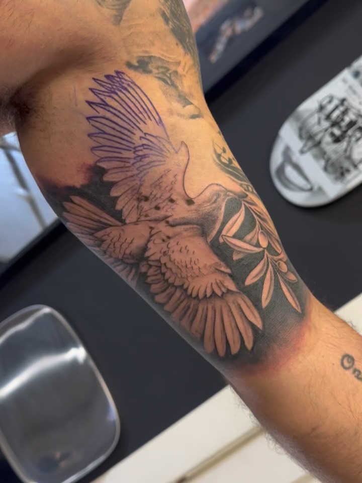 Black and grey dove realism tattoo in progress